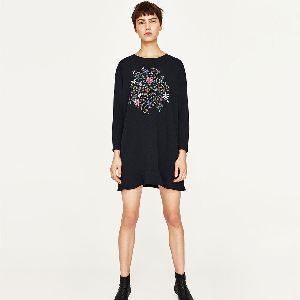 NWT Zara Embroidered/embellished long sleeve dress